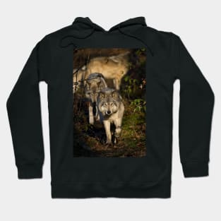 Timber Wolf Hoodie